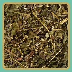 Mes plantes CIRCULATION 40g